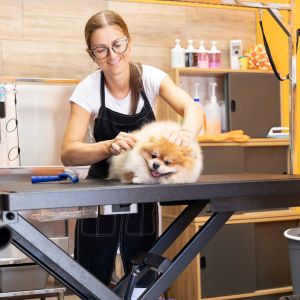 Dreamy Sand Water Color Motivational Quotes Instagram Post (10)